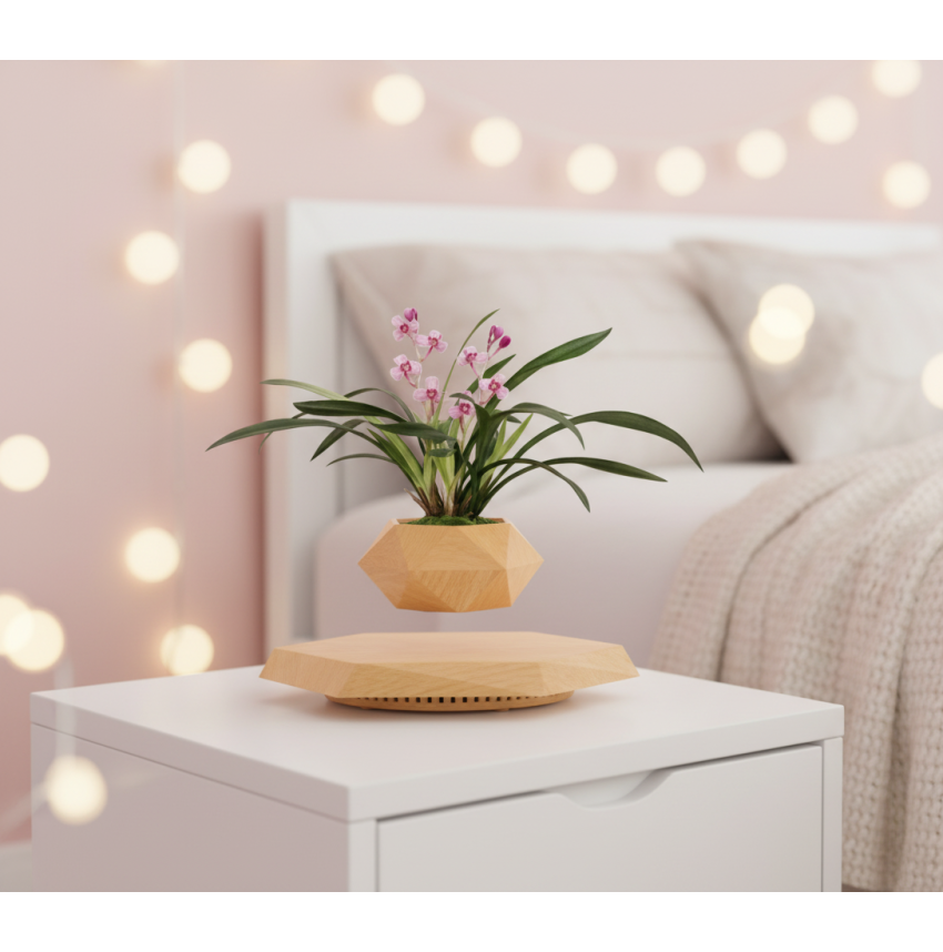 Pot lévitant plante intérieure Orchidée Rose