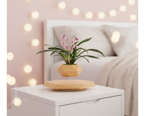 Pot lévitant plante intérieure Orchidée Rose