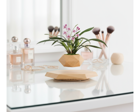 Pot lévitant plante intérieure Orchidée Rose
