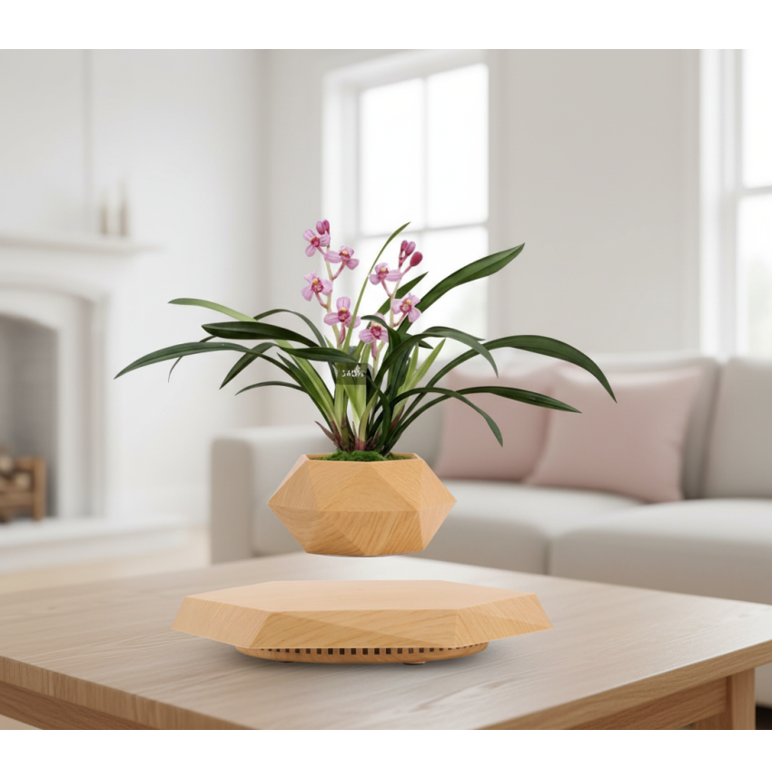 Pot lévitant plante intérieure Orchidée Rose