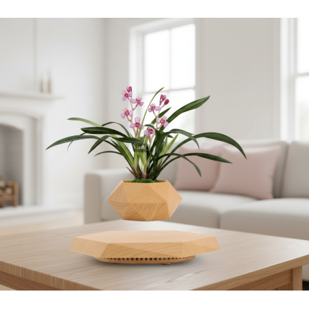 Pot lévitant plante intérieure Orchidée Rose