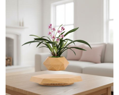 Pot lévitant plante intérieure Orchidée Rose