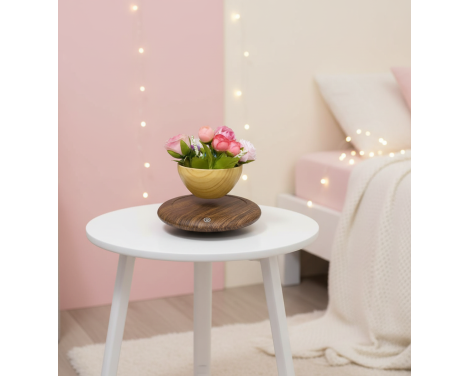 Pot de fleur en lévitation