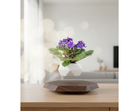 Pot lévitant plante intérieure Violette Africaine