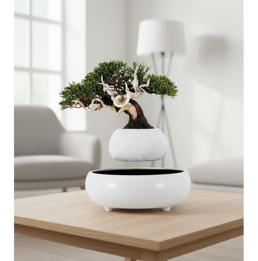 POT LÉVITANT MINI BONSAÏ