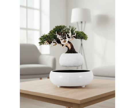 POT LÉVITANT MINI BONSAÏ