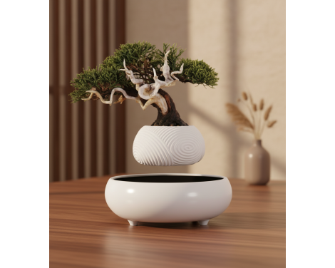 POT LÉVITANT MINI BONSAÏ