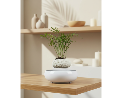 Pot lévitant plante intérieure Palmier miniature