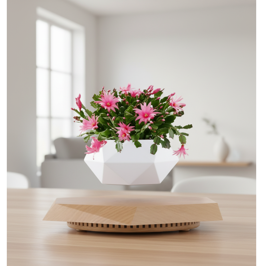 POT LÉVITANT MARGUERITE ROSE