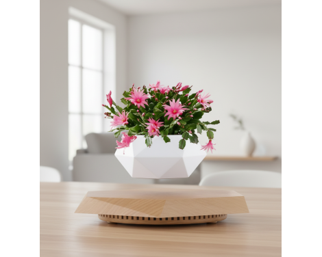 POT LÉVITANT MARGUERITE ROSE