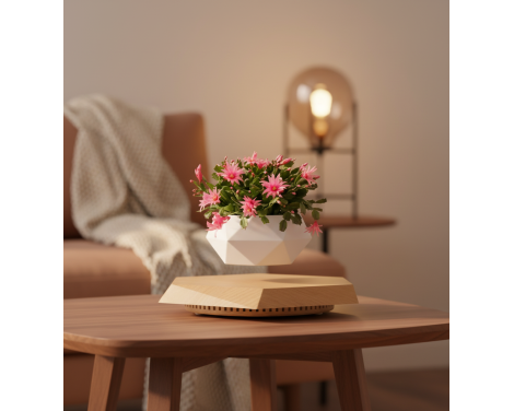 POT LÉVITANT MARGUERITE ROSE