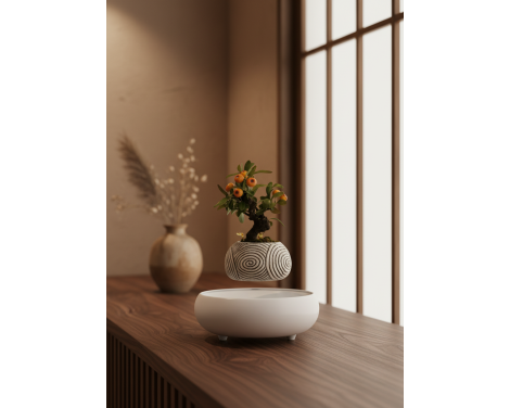 Pot lévitant plante intérieure Kumquat Décoratif